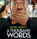 A Thousand Words (2012)