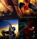 Spiderman Collection (2002-2019)