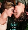 The Fault In Our Stars 2014 Brrip