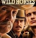 Wild Horses (2015)