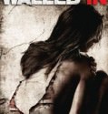 Walled In (2009)