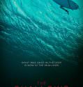 The Shallows (2016)
