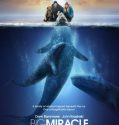 Big Miracle (2012)