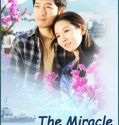 The Miracle of Love (2010-)
