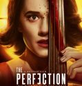 THE PERFECTION (2018)