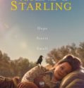 THE STARLING (2021)